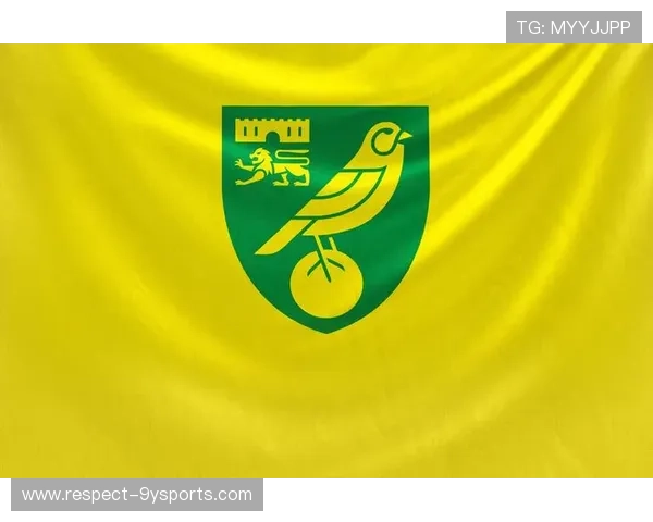 围绕诺维奇俱乐部的发展历程球队文化与未来竞争力全景解析