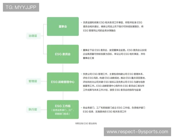 斯图加特俱乐部最新发展动态与未来战略全面解析
